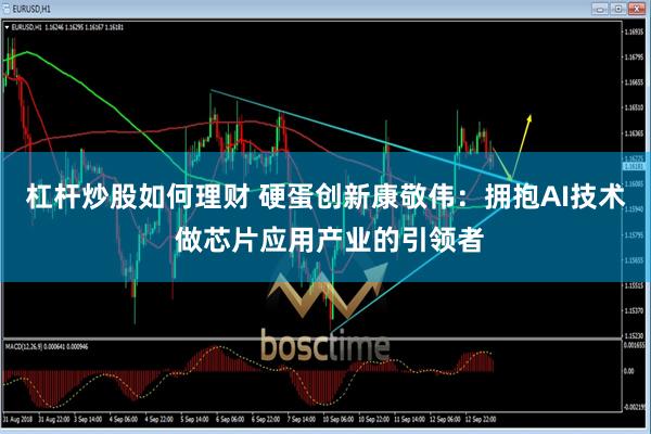 杠杆炒股如何理财 硬蛋创新康敬伟：拥抱AI技术 做芯片应用产业的引领者