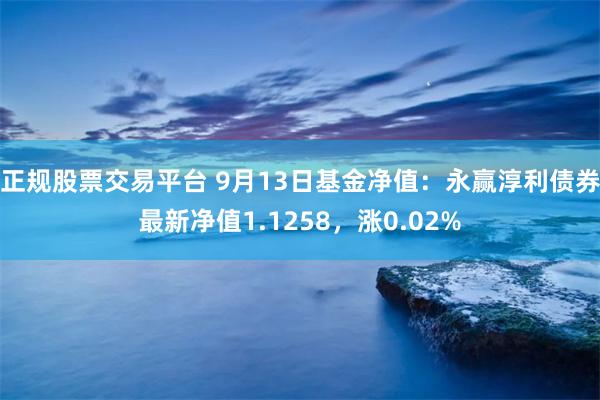 正规股票交易平台 9月13日基金净值：永赢淳利债券最新净值1.1258，涨0.02%