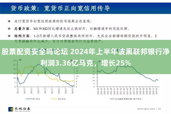 股票配资安全吗论坛 2024年上半年波黑联邦银行净利润3.36亿马克，增长25%