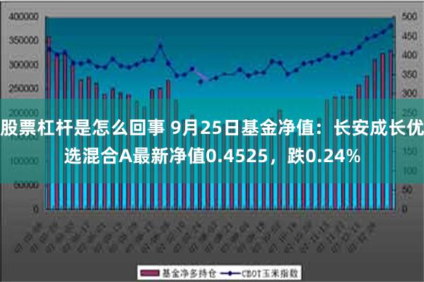 股票杠杆是怎么回事 9月25日基金净值：长安成长优选混合A最新净值0.4525，跌0.24%