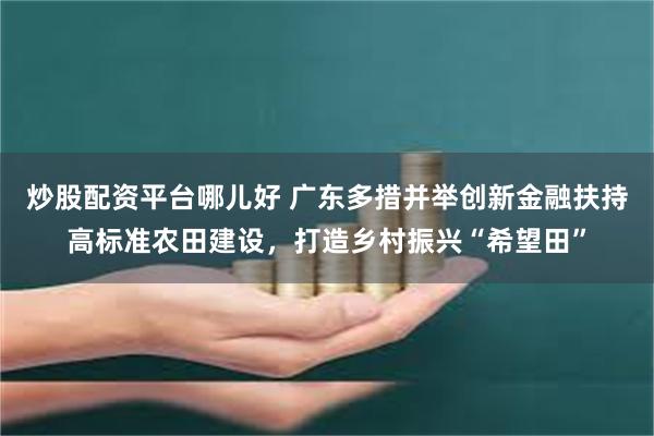 炒股配资平台哪儿好 广东多措并举创新金融扶持高标准农田建设，打造乡村振兴“希望田”