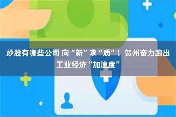 炒股有哪些公司 向“新”求“质”！贺州奋力跑出工业经济“加速度”