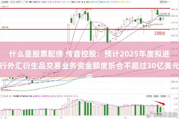 什么是股票配债 传音控股：预计2025年度拟进行外汇衍生品交易业务资金额度折合不超过30亿美元