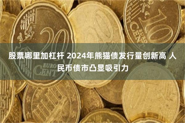 股票哪里加杠杆 2024年熊猫债发行量创新高 人民币债市凸显吸引力