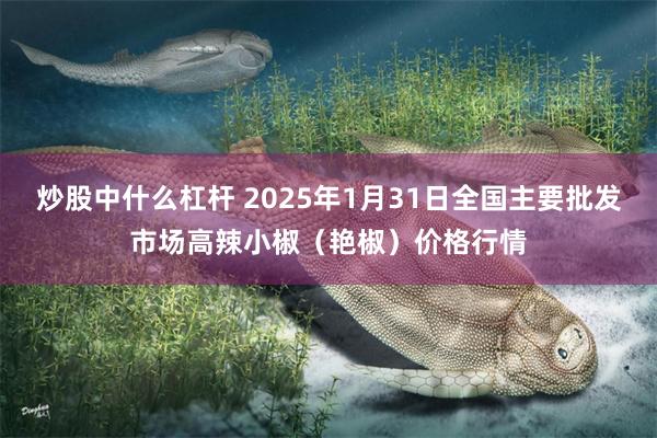 炒股中什么杠杆 2025年1月31日全国主要批发市场高辣小椒（艳椒）价格行情