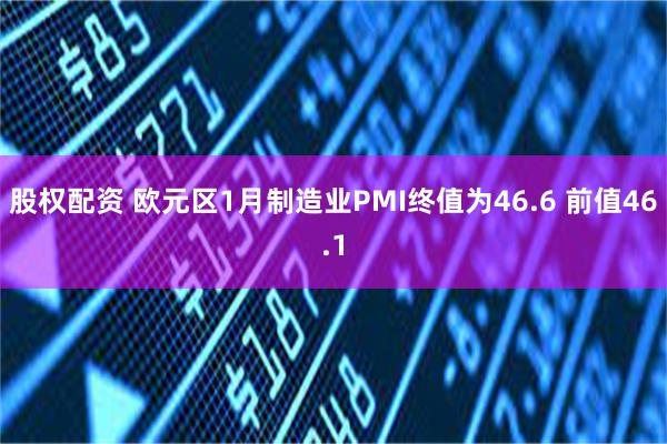 股权配资 欧元区1月制造业PMI终值为46.6 前值46.1