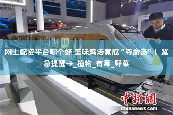 网上配资平台哪个好 美味鸡汤竟成“夺命汤”！紧急提醒→_植物_有毒_野菜
