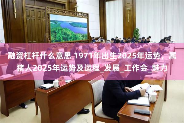 融资杠杆什么意思 1971年出生2025年运势，属猪人2025年运势及运程_发展_工作会_魅力